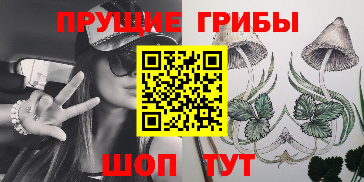 Владимир  Псилоцибиновые грибы мухоморы  Вход с VPN 